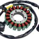 Road Passion 2.1.01.2060 2.1.01.2010 Stator Coil Compatible with Buyang 300 Feishen 300cc Big power, Buyang 300cc ATVs FA-H300, FA-D300-300cc ATV 300B (2x4, 4x4 and 4x4 IRS)