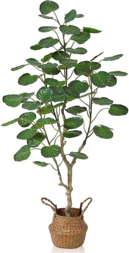 Kazeila Artificial Aralia Balfour Tree,Fake Greenery Plant,Come with Woven Seagrass Belly Basket,Indoor Modern Decoration,4 Feet