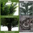 Artificial Cedar Topiary Trees 5ft Set of 2 Cypress Tree with Ground Spike