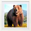 16x16 Diamond Painting Picture Frames,Display Pictures 14x14 Inch/35x35cm With Mat or 16x16 Inch/ 40x40cm Without Mat, Picture Frames Diamond Art Frames Wood White (YK0062)