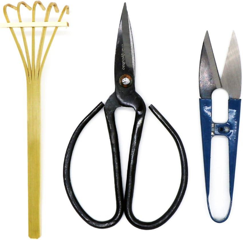 Kebinfen Bonsai Tree Pruning Trimming Starter Tool Kit - Pruning Scissors, Bonsai Scissors for Bud & Leaves Trimmer, Bamboo Rake - Set of 3