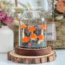 Mushroom Lamp, Decor LED Light in Glass Dome with Base for Home Bedroom Decor Birthday with Birthday Valentines Anniversaries Gifts Box (Orange)