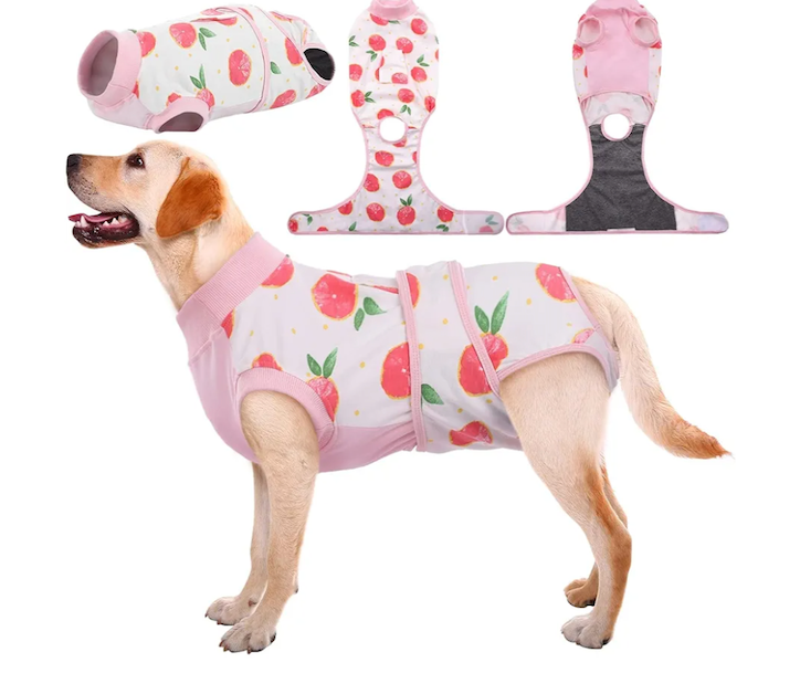 Kuoser Dog Recovery Suit Female, Dog Onesie for Surgery, Female Spay and Male Neuter Onesie for Post-Op Care, Prevent Licking Puppy Onesies (XS)