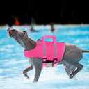 Queenmore XXL Dog Life Jacket, Floating Vest for Boating, Lightweight Adjustable Reflective Lifesaver with Back Zip, Rescue Handle, Leash Hook (Fuchsia XXL)