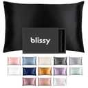 Blissy Silk Pillowcase - 100% Pure Mulberry Silk - 22 Momme 6A High-Grade Fibers - Silk Pillow Cover for Hair & Skin - Regular, Queen & King with Hidden Zipper (Standard, Black)