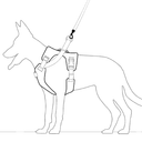 Petmolico No Pull Dog Harness Set with Leash Attachment Easy Control Handle Reflective Harness Vest Small Breed, Puppy Vest and Leash Set with Poop Bag Holder, Small - Orange, Small
