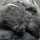 Homemate Electric Heated Blanket Twin - 62"x84" Heating Bed Blankets Throw with 10 Heating Levels 8 Hours Auto Off Fast Heating Over-Heated Protection Ultra Soft Warm Flannel ETL Certified Grey