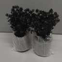 DomeStar 2 Pack Small Black Eucalyptus Plant, Mini Potted Fake Plants Artificial Plastic Eucalyptus Plants Topiaries for Home Office Desk Farmhouse Shelf Room Bathroom Decor