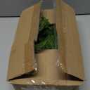 DearHouse Norfolk Pine Garland, 9 Ft Artificial Greenery Christmas Decoration for Holiday Season, Mantel Fireplace Table Runner Centerpiece