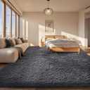 Ophanie Area Rugs for Bedroom Living Room, Grey Fluffy Fuzzy Shag Shaggy Soft Plush Carpet, 4x6 Indoor Floor Gray Rug for Kids Home Dorm Decor Aesthetic (4' x 6', 1- Grey)