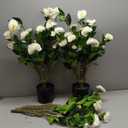 Artificial Camellia Tree 3.3 FT 2 Pack, Christmas Decor Fake Camellia Plant with Blooming Flowers&Natural Wood Trunk, Greenery Faux Potted Plant for Home Office Winter Indoor (White, 3.3FT)