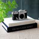 Neatmeat Decorative Books Set with Coffee Table Storage  Faux Books for Bookshelf and Home Decor  Modern Living Room Accent Book Box (Grey-beige)