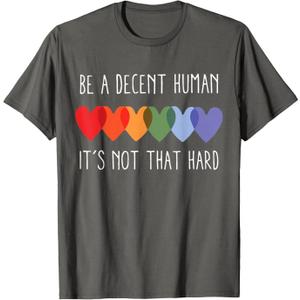 LGBT Heart Retro Be A Decent Human It's Not That Hard T-Shirt (Gray, 4XL)