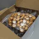 Tessco for you 100 Pcs Mini Bottles Plastic Mini Salad Dressing Bottle Christmas Small Shooter Holders with Cap Hot Sauce (0.8 oz,Gold)