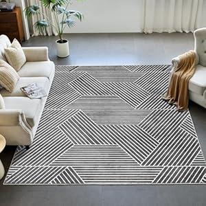 INGEROOM 6x9 Area Rugs for Living Room, Washable Area Rug Grey, Modern Design, Geometric Carpet for Living Room, Bedroom, Dining Room, Offic, Entryway