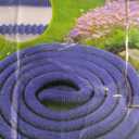 Expandable Garden Hose 50Ft With 10 Function Spray Nozzle
