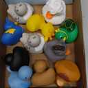 12PCS Rubber Ducks - Assorted Rubber Ducks with Black Cat,Highland Cow,Sheep Bath Toys,Toddler No Hole Ducks for Jeeps,Baby Bath Toys, Animal Bath Duckies for Baby Shower Pool Party Favors