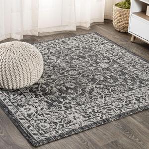 JONATHAN Y Vine & Border Indoor Outdoor Square Area Rug 5X5 Black/Gray, Palazzo Textured Weave for Backyard, Patio, Porch, Easy-Cleaning, High Traffic, Pet-Friendly, Non-Shedding (SMB103C-5SQ)