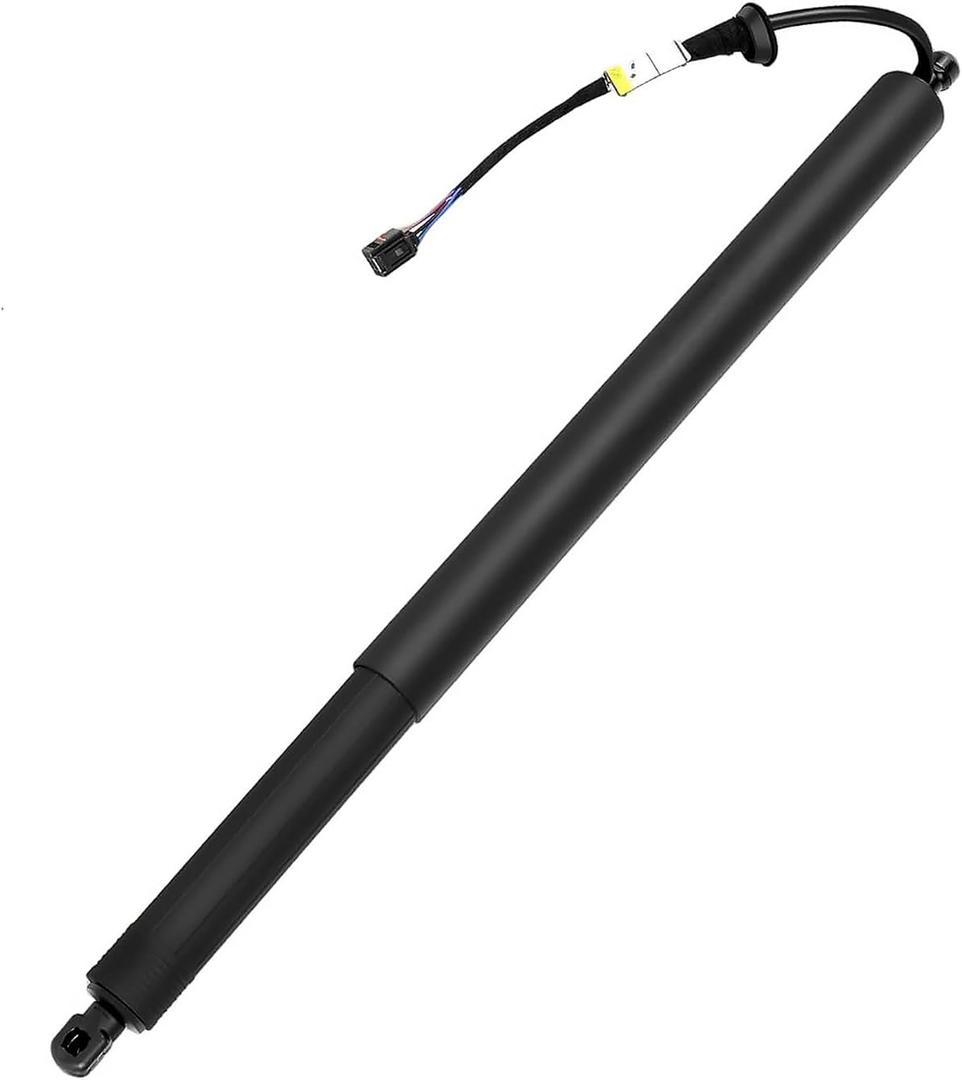 Rear Electric Tailgate Power Lift Support Shock Strut Compatible with Hyundai Palisade 2020 2021 2022 2023 2024, 3.8L V6, Trunk Lift Shock Struk repalces 81831-S8100, 81831S8100 (LH)