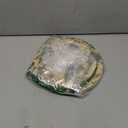 GREHUMOR Vintage Christmas Party Decorations Retro Christmas Paper Plates and Napkins Retro Santa Tree Red Berries Serve 20 for Winter Xmas Holiday Party Supplies