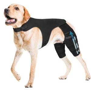 Dog Knee Brace for Hind Leg  Adjustable Dog Rear Leg Support Brace with 4 Metal Stabilizers, Helps with Torn CCL, Luxating Patella, Ligament Injuries, Hip Dysplasia,XXL