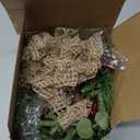 4 Pcs Mini Christmas Candle Rings Wreaths Artificial Christmas Kitchen Cabinet Holder Wreath 3 Inch Red Berry Norfolk Pine Winter Wreath for Pillar Xmas Front Door Window Chair Wall Decor Table Center