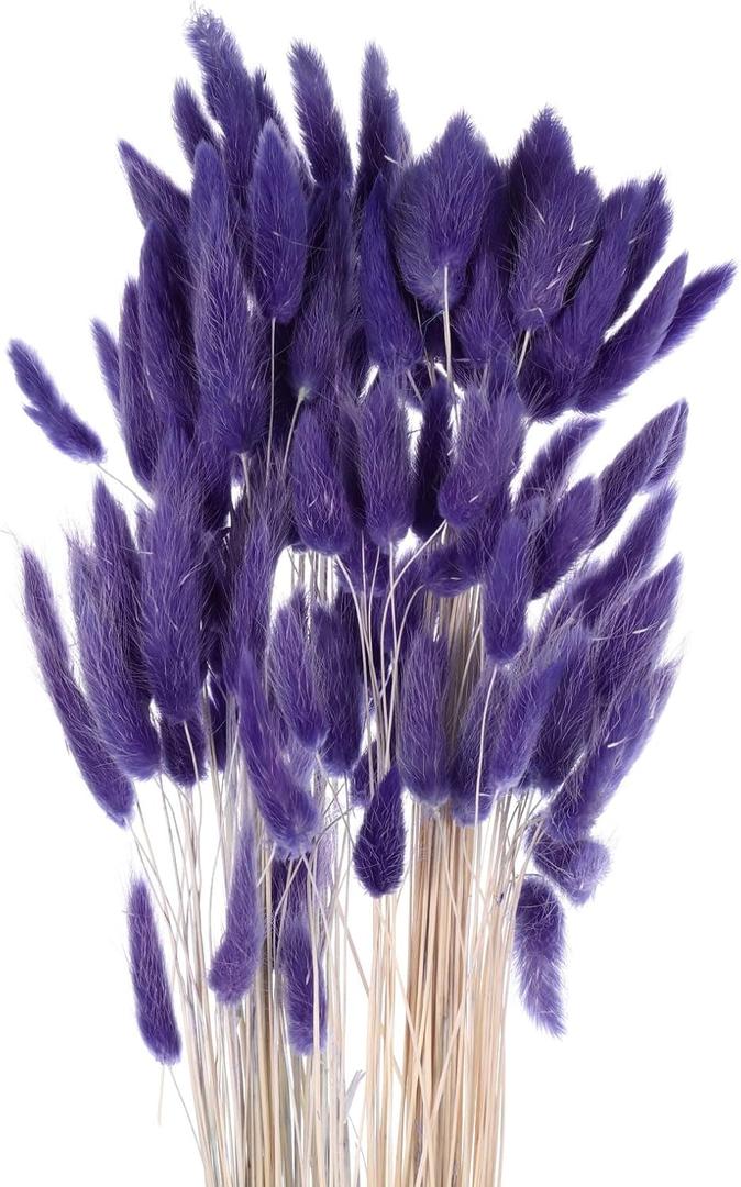 MECCANIXITY 120pcs Natural Rabbit Bunny Tails Dried Flowers 24" Mini Pampas Grass Lagurus Ovatus Bunch for Floral Wedding Decor Christmas, Dark Purple MECCANIXITY 120pcs Natural Rabbit Bunny Tails Dried Flowers 24" Mini Pampas Grass Lagurus Ovatus Bunch for Floral Wedding Decor Christmas, Dark Purple