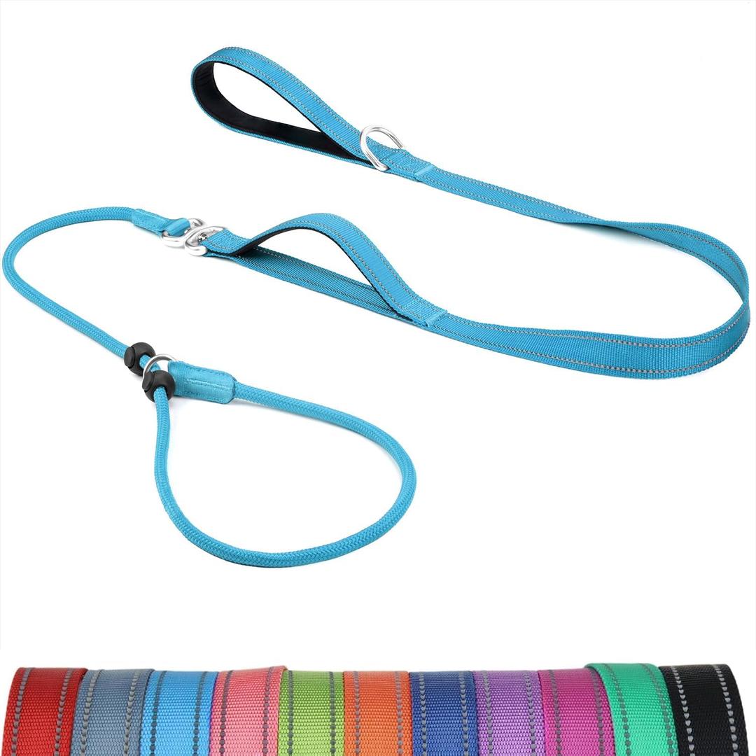 6FT Slip Lead Dog Leash with Double Padded Handle, Anti-Tangle Slip Leads for Dogs, Reflective Nylon No-Pull Training Leash for Small Medium Dogs, Sky Blue