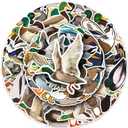 50 Pcs Mallard Stickers - Colorful Mallard Duck Designs, Premium PVC, Removable & Reusable, for Waterfowl Lovers (Mallards)