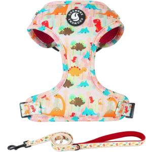 Adjustable Dog Harness and Leash Set for Girl Air Mesh Dog Vest Harness 5Ft Pet Training Leash with Soft Handle Pet Escape Proof for Small Medium Large Dogs (Dinosaur, M) (M (Neck 13.4"-16.5"; Chest 17.7"-23"))