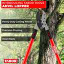 TABOR TOOLS GG12A Anvil Lopper with Compound Action, 30 Inch Tree Trimmer, Thick Branch Cutter with 2 Inch Cutting Capacity, Chops Thick Branches with Ease., GG12E Compound Action Anvil