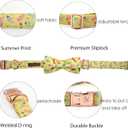 Elegant Little Tail Bowtie Dog Collar for Small to Large Dogs (X-Large (Pack of 1), Flip Flops)