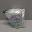 Pennington Water Soluble All Purpose Plant Food 20-10-20-1.5 lb (EXP 11/30/26)