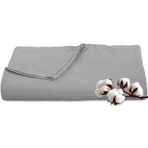 Royale Linens 300 Thread Count 100% Long Staple Combed Cotton Flat Sheet - Super Soft - Top Sheets - Queen Flat Sheet Sold Separately - Breathable, Cool & Crisp Percale Sheets Only (Queen, Silver)