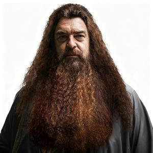 Brown Wizard Wig Beard Set Halloween, Costume Wig Long Curly for Men Adults Cosplay Party Accessories (Brown Funny Father Time)