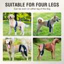 Dog Knee Brace for Luxating Patella, Dog Leg Brace Front, Dog ACL Brace Hind Leg with 6 Metal Strips to Protect Knee Joint, Provide Stable Support and Relief Pain, Help Resume Normal Activities XL