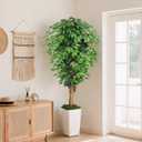6ft Ficus Artificial Tree with 3 Natural Curved Trunks, 74" Tall Lush Faux Tree for Home Decor Indoor, Green Lifelike Fake Ficus Tree with White Wavy-Textured Planter Pot
