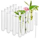 20 Pcs Clear Test Tubes for Plants Acrylic Plant Propagation Tube with Brush Plastic Tests Tubes for Hydroponic Plants,Flowers (12 cm)