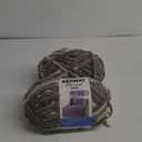 Bernat Blanket Extra Chunky Chenile Acrylic Yarn - (Pack of 2) (Silver Steel)