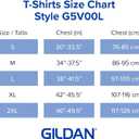Gildan Women's Heavy Cotton V-Neck T-Shirt, 2-Pack (White, L)