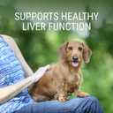 Nutramax Laboratories Denosyl for Dogs, Liver and Brain Health Supplement for Medium Dogs, with S-adenosylmethionine (SAMe), Stabilized Tablets, 30 Count