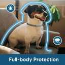 Flea and Tick Collar for Small Dogs, Flea Collar for Dogs, Tick Collar for Small Dogs, Dog Tick Collar, Dog Flea Collars, Soft & Adjustable, 8 Months Protection, Easy to Use-2P