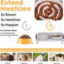 Elevated Slow Feeder Dog Bowls - Ceramic Food and Water Bowl Set with Stand - Raised Pet Dishes for Small and Medium Sized Dogs