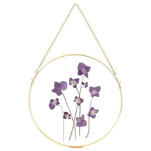 REDHUGO Handmade Glass Frame for Pressed Flowers, Wall Hanging Brass Floating Double Glass Round Picture for Dried Flowers Poster, Home Wall Decor, Circle, Gold (FRAME ONLY)