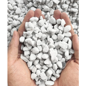 10QT Organic Perlite Horticultural Soil Amendment for Plants and Enhanced Drainage Enhanced