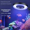 Pawfly Aquarium Light for 1-3 Gallon Saltwater Fish Tanks, Clip On LED Reef Light for Corals, Dimmable USB Aquarium Lamp with Full Spectrum Lighting and Timer (Adapter Not Included)