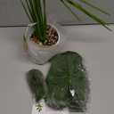 Der Rose 28" Fake Plants Large Artificial Monstera Faux Potted Plants Indoor Tall Tree for Living Room Decor (White)