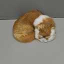 Realistic Furry Sleeping Cat Figurine Simulation Kitty Lifelike Kitten Home Office Shelf Decorative Statue, Synthetic Fur Pet Replica (Orange)