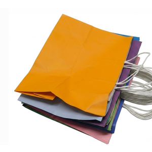 Multi-Color Kraft Paper Gift Bag Set with Twisted Handles