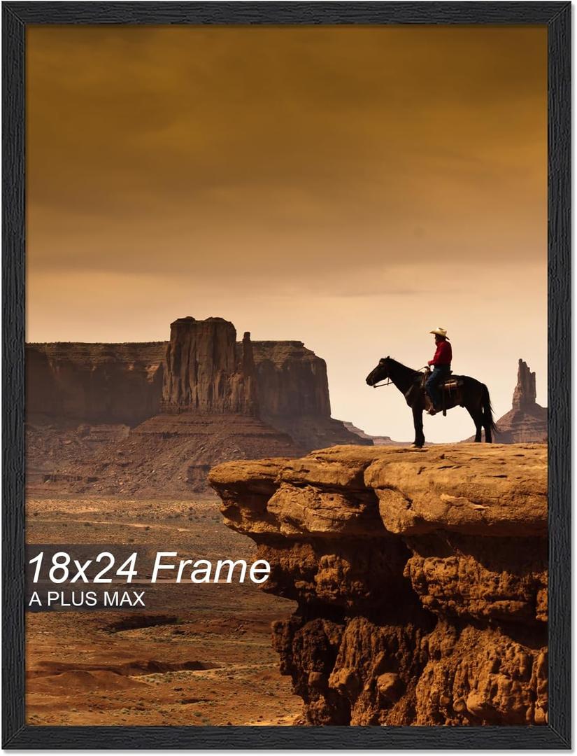 A PLUS MAX 18x24 Picture Frame Black Light Weight Wall Mount